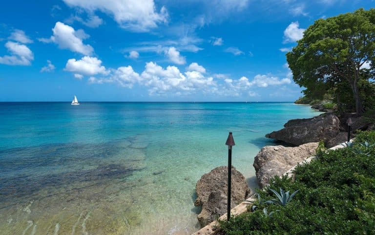 Barbados Dream Cup