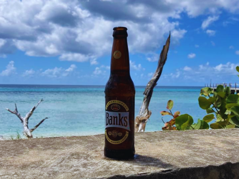 Ice cold Banks Beer brewed in Barbados