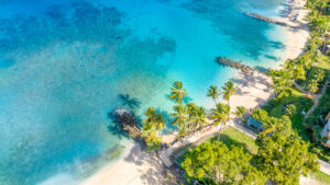 Aerial view of a beach in Barbados with lots of palm trees on the shore