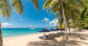 Beach in barbados with blue lounge chairs and umbrellas. Framed by palm trees