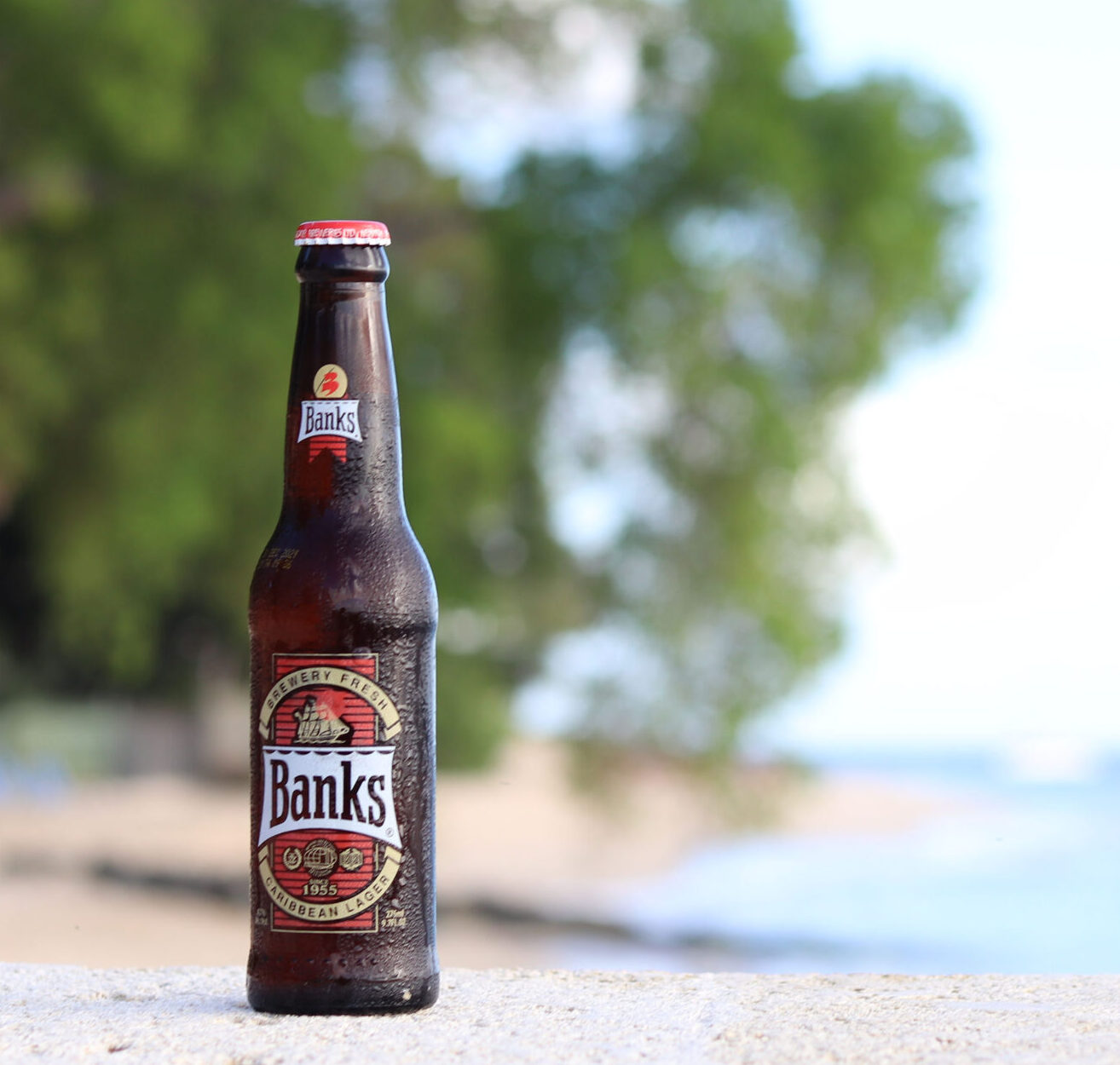 5 Drinks To Try In Barbados (With Photos)